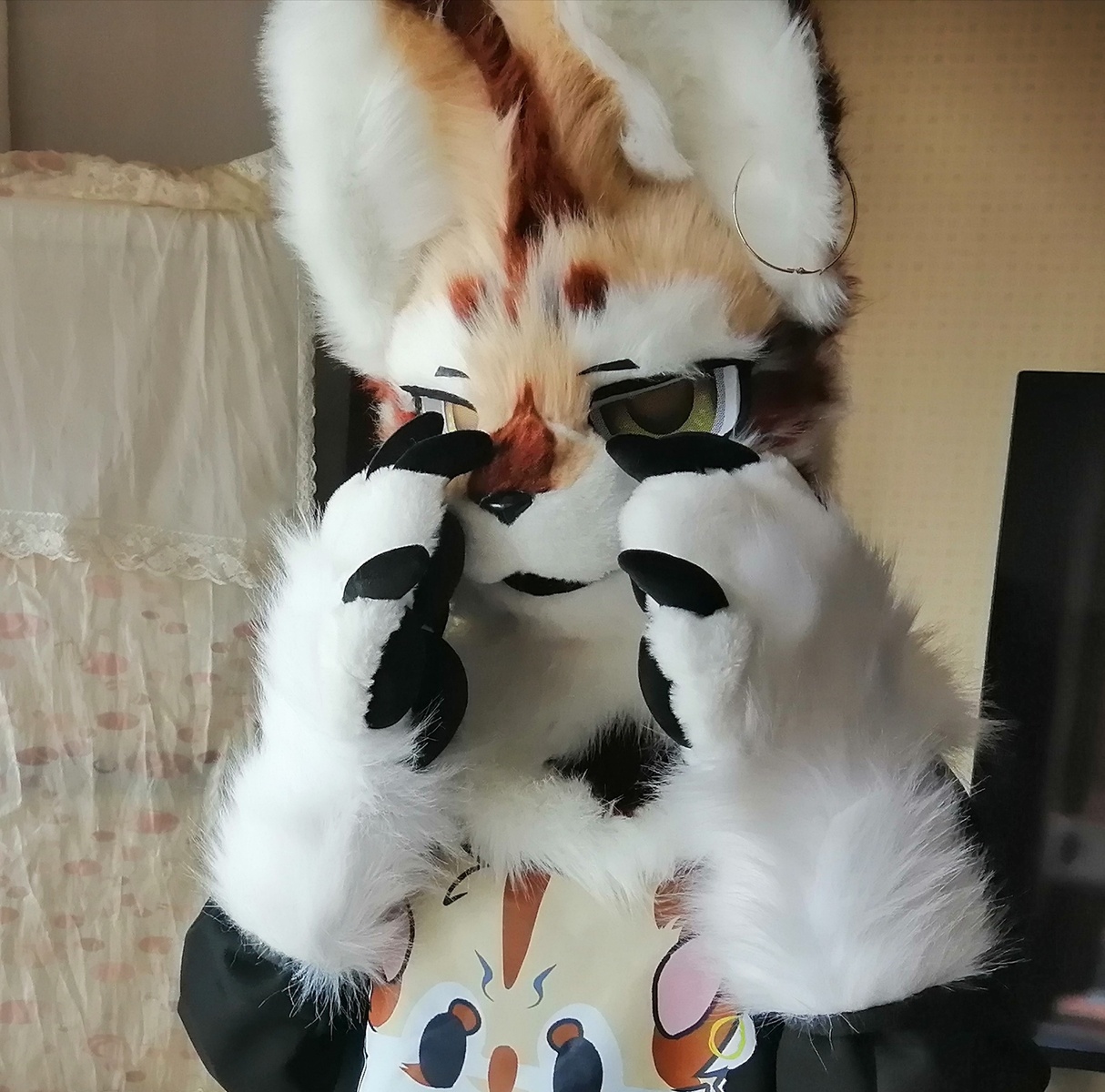 狸奴