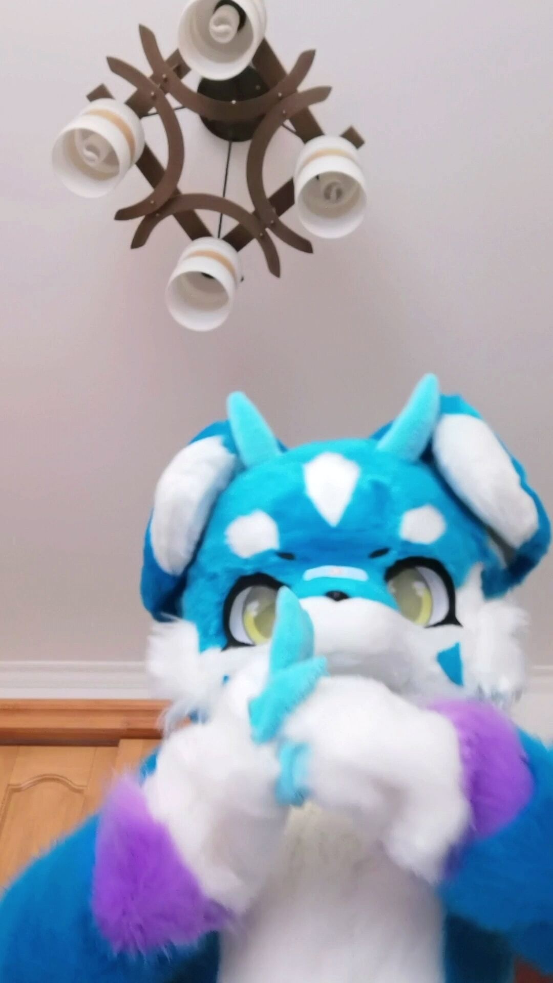风陌